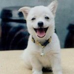 저의 취미입니다!