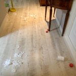 ★[개판Ⅲ탄]사진추가! <b>역변</b>한 푸들 두부의 마지막(?)개판