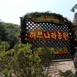사진有)☆★25살, 나홀로 떠난 강원도 여행^_^★☆