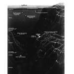 ☆★☆심해의 수많은 <b>생물</b>들(사진有)☆★☆★☆★