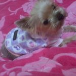 ★★여기도 개판[사진有有] 나를 빼놓으면 섭섭하지!!!!!★★(수정)