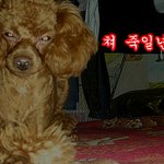 <b>야이</b>  에스더 씹새키야 잘봐라