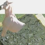 톡커님들 솔직히 <b>말</b>나온<b>김</b>에