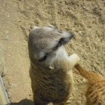 ●사진有) 대공원에서 동물학대하던 중딩일진들 ㅡㅡ●