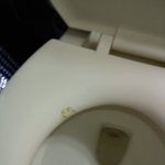 진짜똥자국을 보았다(사진有)(많이 웃기진 않음)