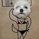 안녕 난 개섹<b>시야</b>