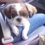 ♨♨♨♨♨♨♨내 개자랑(<b>feat</b>. 해피 뚱이)♨♨♨♨♨♨♨♨♨♨♨♨임팩트