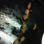 ♨너의똥나의똥우리의똥((사진有))♨