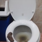 (사진 有) !!!!!!!!!!!!!!!☆★☆★누가 우리학교 변기에...