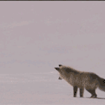 ★☆19세 룸메이트들의 인생 에피소드☆★