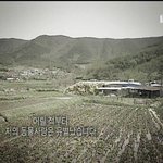 세상의 모든 유기<b>견들</b>을 위해
