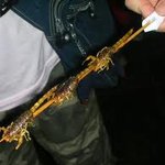 ★☆★☆★☆중국의 진실4탄 사진有 ★☆★☆★☆