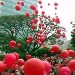 ★ ★   우리학교 팬덤 정리  ★ ★