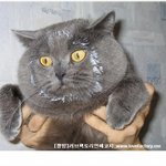 남자분들께 고함