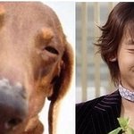 연예인과 동물들의 <b>미묘</b>한 닮은꼴