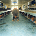 ★★여자들이 궁금해하는 군대생활 3탄★★