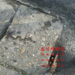 하수구에 들어간 폰 구출작전 (사진有)