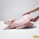 [遝] 언벌리버블한 유명 광고들