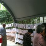 ☆★☆★☆★(사진有) 대륙의 짝짓기★☆★☆★☆