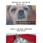 지난주 슈퍼스타k3  캐<b>깜놀</b> 발견 !!!!!!