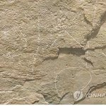 이달의 명체