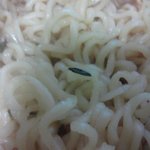 ★★★★★x라면에서<b>벌레</b>나왔어요★★★★★