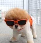 고3인데 파출소경찰서법원갔다왔어요ㅠㅠ