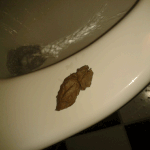 ★★★★★★똥만들어서 아빠 속였어요★★★★★★★★