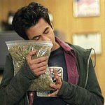 연예인 대마초 흡연 사건, 교육이 필요합니다