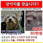 죽을것 같아요..<b>사당</b>.낙성.방배.남현.봉천지역분들 제발 읽어주세요