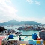 똥끼와 함께하는 일상