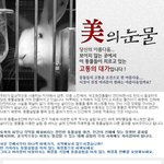 美의눈물,<b>동물</b>들이치르고있는고통의대가