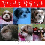 ★장유 <b>진영</b> 주촌 진례 사시는분 도와주세요ㅠㅠ★