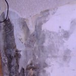 집안빼주는 주인아줌마