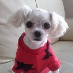 <b>시흥</b>에 사시는 분들 꼭 읽어주세요