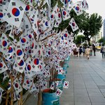 야수의 심정으로 투표하라! 10월 26일!