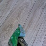 ★☆ 사진첨부 ☆★ <b>xx</b>제과, 곰팡이 사진 ㅠ9ㅠ