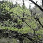 이 누나 좀 이쁘게해보자