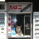 성북 엄청머네 김포,일산,부천,<b>강서</b>는 없음??