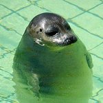 위험한 <b>바다생물</b> 베스트 8