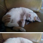 음탕한<b>계집</b> 침대위에 발라당 누워서.