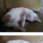 음탕한 <b>계집</b> 잠자리에서 발라당누워..