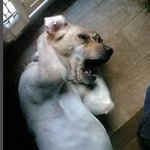 톡되면 동해바다 <b>입수</b>한다!!
