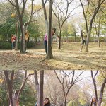 ★★★★써니영화를 고발합니다★★★★(사진有)