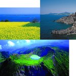 ★★★★★11월 11일은 <b>고백데이</b>가 아닙니다 ★☆★★★