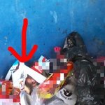 찢어진 <b>채</b>로 버려진 비스트<b>그림</b>