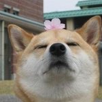 야이 <b>식칼</b>놈들아