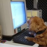 며칠 전에 회사에서 들은 얘기(스압)