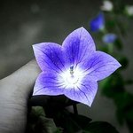 <b>신비</b>로움..^^