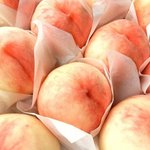 [임산부화장품/홍진경화장품] 임산부가 알아야 할 기초 <b>상식</b>..